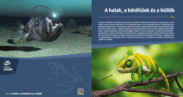 Fish, Amphibians and Reptiles