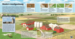 Modern agriculture