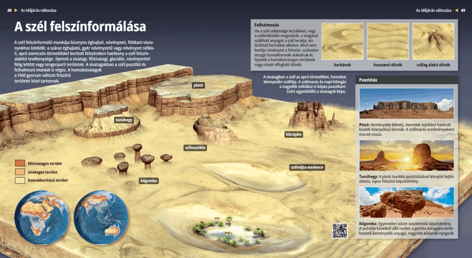 The Surface-shaping Wind