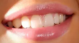 Шүдний талаар бид юу мэдэх вэ?