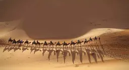 Жингийн цуваанд нэгдээрэй!