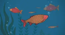 Загас ус уудаг уу?