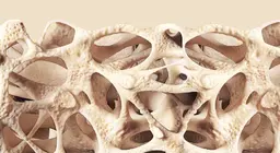 Холбогч эд