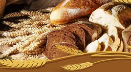 Улаан буудайнаас талх хүртэл