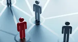 Чи ямар сүлжээнд хамаардаг вэ?