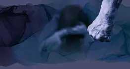 Хүчирхийлэлтэй харилцаа