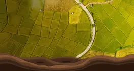 Ээлжлэн тариалалтын өнгөрсөн ба одоо