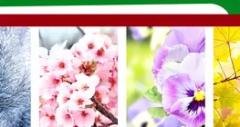 Tempo e stagioni