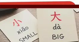Pinyin and Tonal Marks