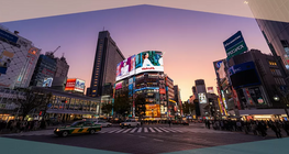 The influence of advertising and the media