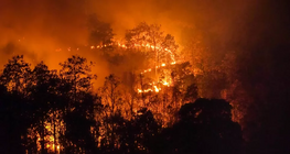 Global warming vs. climate change