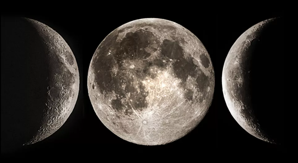 Дэлхийн дагуул