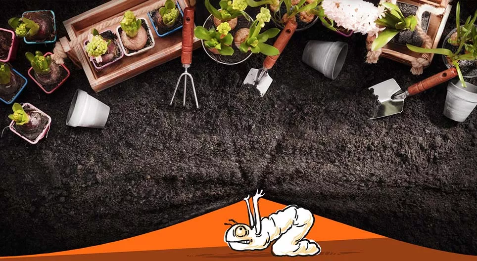 Цэцэрлэгт ургаж буй ургамлын амьдрал хэрхэн өөрчлөгддөг вэ?