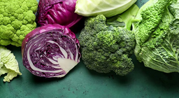 Байцайтны овог