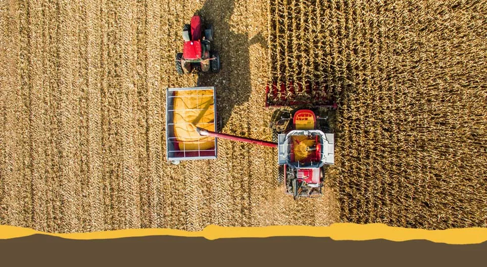 Түгээмэл таримал ургамлууд