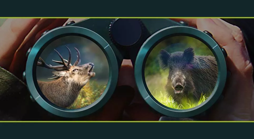 Ойн зэрлэг амьтад