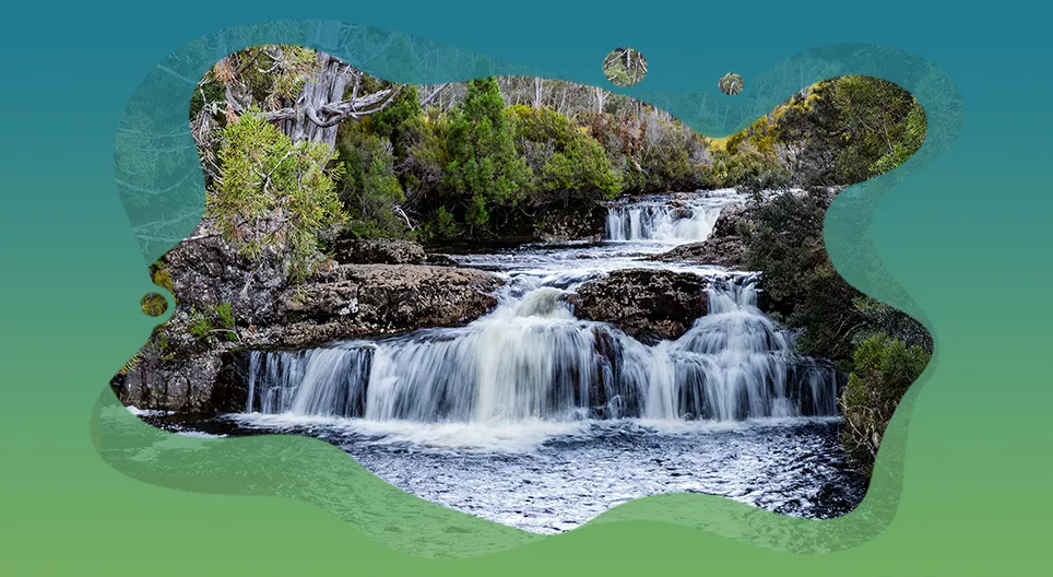 УСНЫ БИЧИЛ БИЕТҮҮД