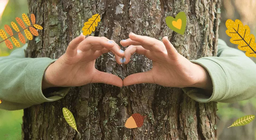 Ойн экосистем