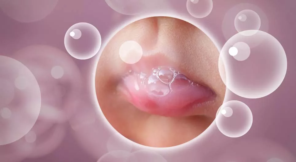 Шүлс бол төрөл бүрийн үүрэгтэй биеийн шингэн