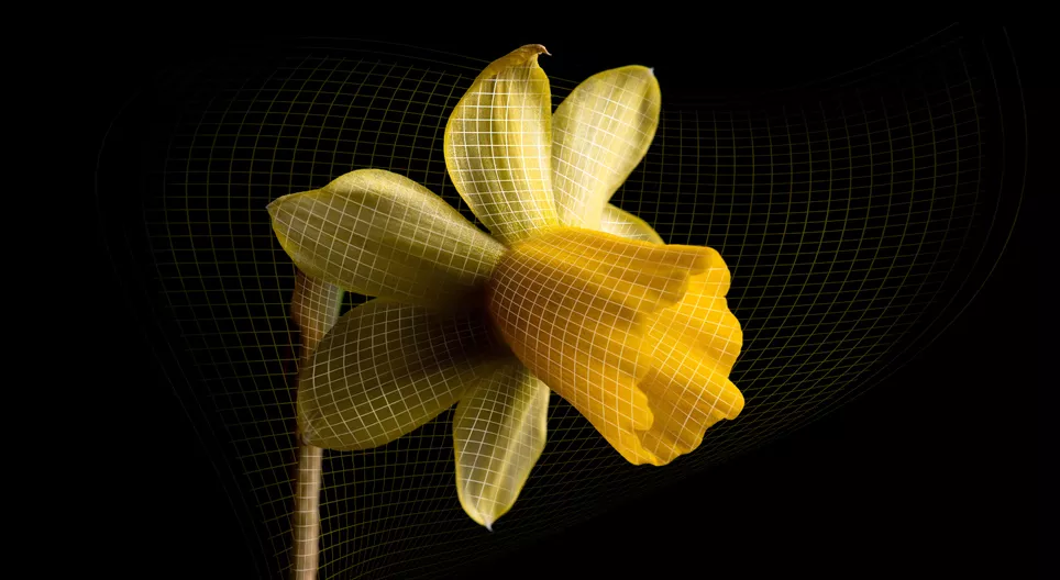 Улам бүр тэлж буй орчлон ертөнцийн нууц