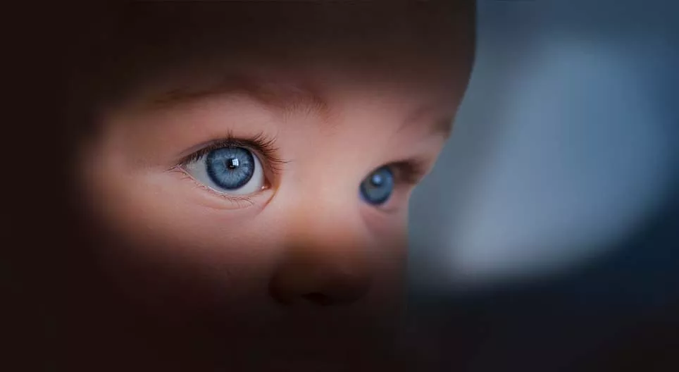 Нярай хүүхдийн нууцлаг амьдрал