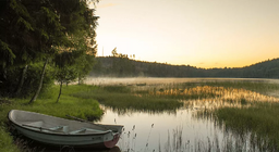 Ус хамгаалал