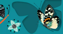 Эрвээхэй болон хүр эрвээхэй