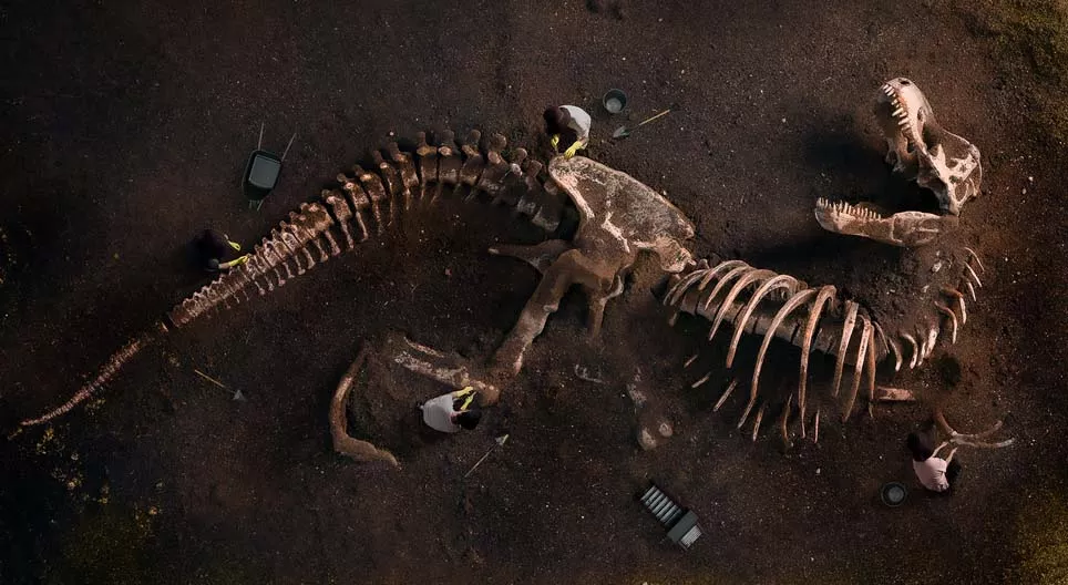 Чулуужсан үлдэгдэл бидэнд юу хэлдэг вэ?