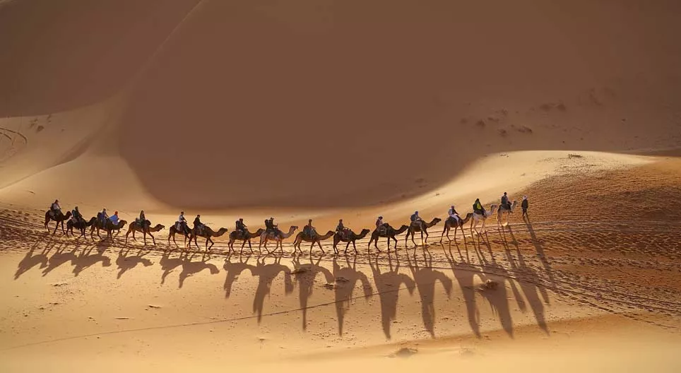 Жингийн цуваанд нэгдээрэй!