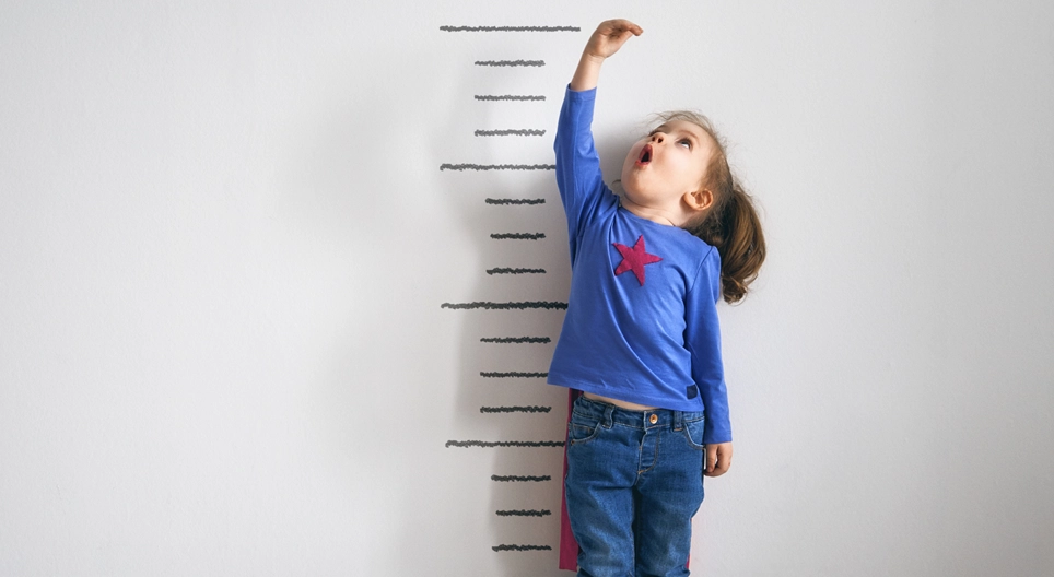 Хэмжих гэж юу вэ?