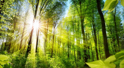 Ойн төрхтэй танилцацгаая!