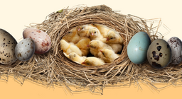 Өндөгний нууц