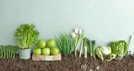 Үр үү жимс үү?