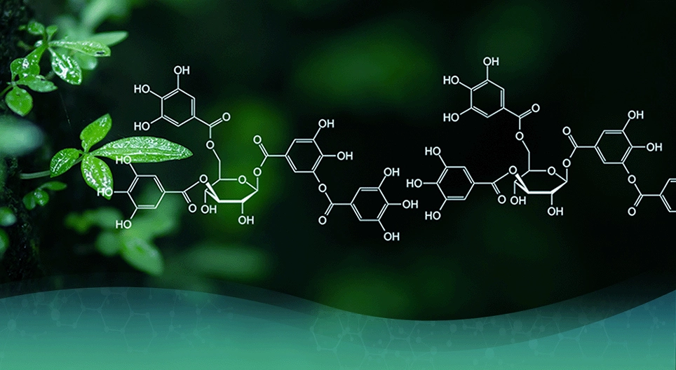 The development of organic chemistry
