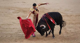 Бух тулааны нөмрөгийг хэрхэн хардаг вэ? – Амьтдын хараа