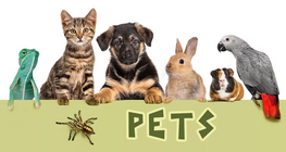Pets