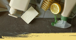 Гэрт байдаг хүчил болон шүлтүүд