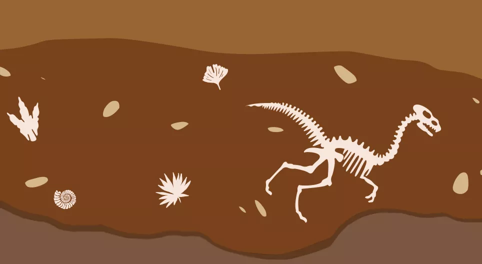 Дэлхий дээр амьдрал хэрхэн үүсэж, хөгжсөн бэ?