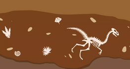 Дэлхий дээр амьдрал хэрхэн үүсэж, хөгжсөн бэ?