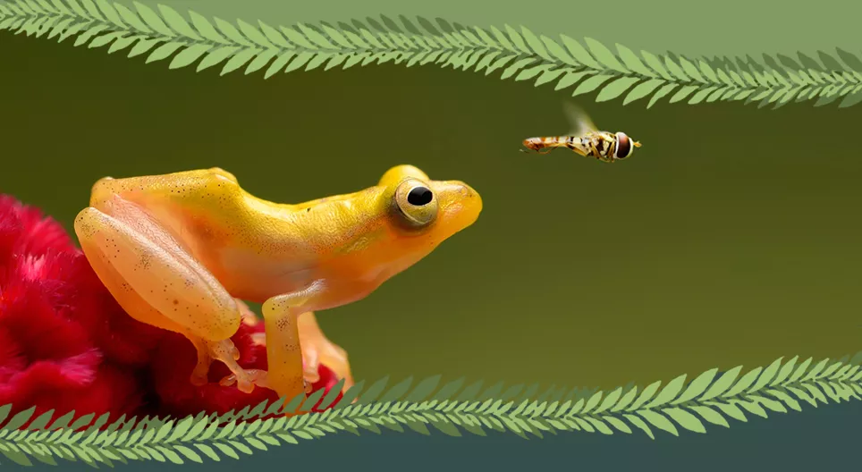 Сээр нуруутан уу, сээр нуруугүйтэн үү?