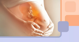 Жирэмсэн үед эмэгтэй хүний ​​биед ямар өөрчлөлт гарах вэ?