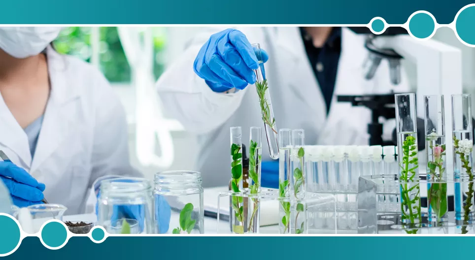 Урвуу осмос