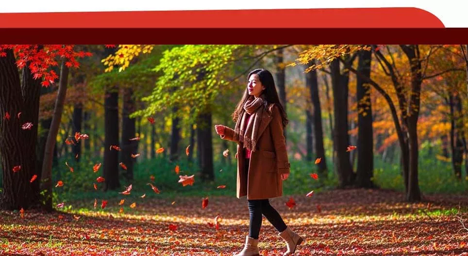 ´If…,then´: 如果。。。就。。。