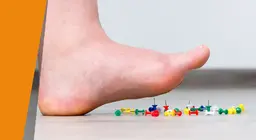 Байхгүй болсон мэдрэмж