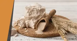 Шааран бөмбөлөг хийлэгч мөөг