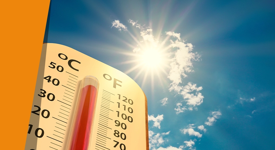 Арьсны термометр