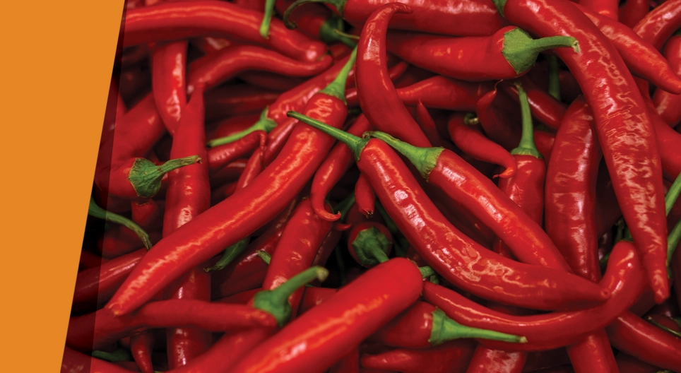 Дугуй дугуйгаа олох