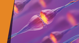 Амт алга болох