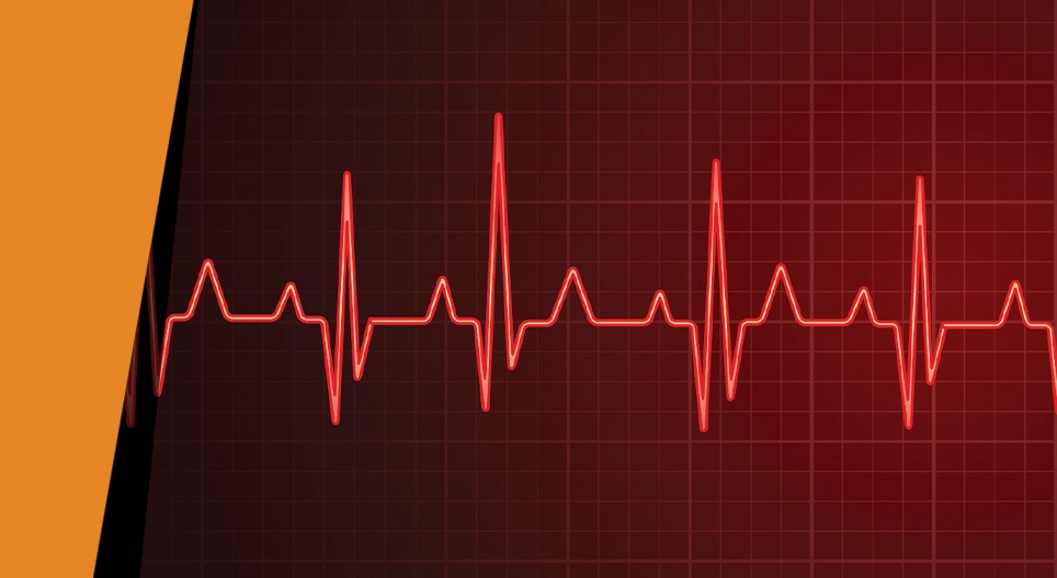 Таны зүрхний хэмнэл