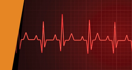 Таны зүрхний хэмнэл